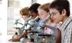 Мастер- класс на тему «применение электронного микроскопа на уроках в начальной школе»